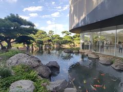 -罗红摄影艺术馆