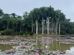 -中国科学院西双版纳热带植物园