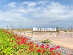 -莺歌海盐场
