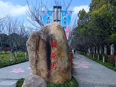 -高东镇樱花园