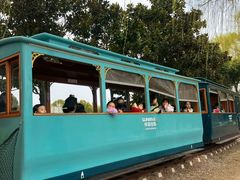 -祥源·阜阳生态乐园