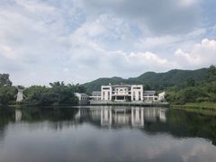 -大屏嶂森林公园