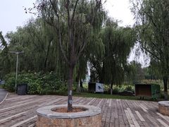 -西安浐灞国家湿地公园
