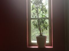 -旅马餐厅(茅家埠店)