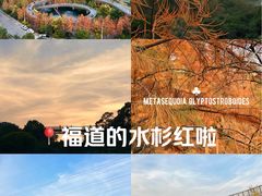 -福道