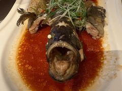 -三利音·浦之舟(滨江大道店)