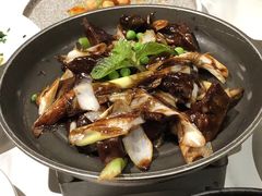 -荟廷·晶萃(陆家嘴尚悦湾店)