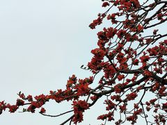 -广州市紫泥堂文化创意园景区