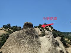-大岭沟猕猴桃谷风景区
