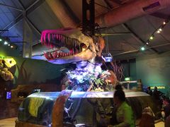 -悉尼海洋生物水族馆