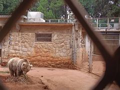 -昆明动物园