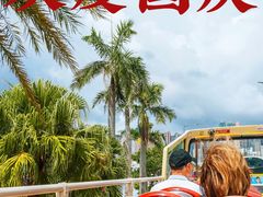 -Big Bus Tours 敞篷观光巴士
