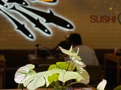 -Sushi Love 创意寿司(丽影广场店)