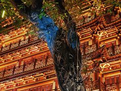 -大佛古寺