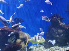 -多彩贵州城极地海洋世界