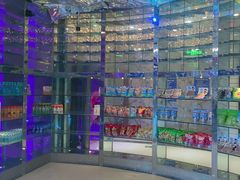 -K歌之王量贩式KTV(洪楼店)