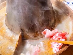 -东镇老火锅(长春路首店)