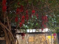 -夹夹大·蟹蟹大排档(财富又一城店)