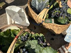 -南坛综合农贸市场