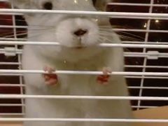 -龙猫仔乐园(惠福东路店)