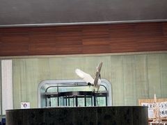 -楼观道温泉酒店