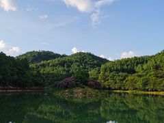 -广州白江湖森林公园