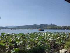 -湖畔居茶楼(湖滨店)