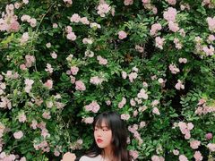 -白鹭湾湿地公园