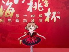 -中央芭蕾舞团·中芭艺蕾(酒仙桥明星校区)