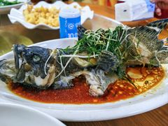 -板桥海鲜广场(文明东店)