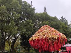 -狼山风景名胜区