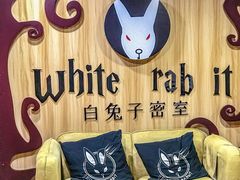 -白兔子密室(长寿路店)