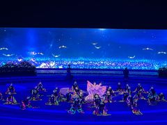 -鼎盛王朝康熙大典实景演出