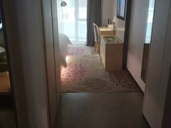 -麗枫酒店(长沙步行街南门口地铁站店)