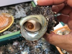 -西归浦每天偶来市场