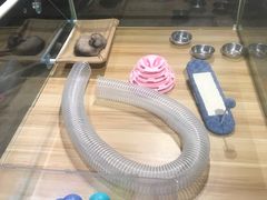 -zoonana室内动物园(东方福来德店)