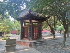 -房湖公园