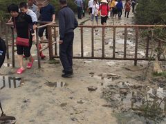 -北海金海湾红树林生态旅游区