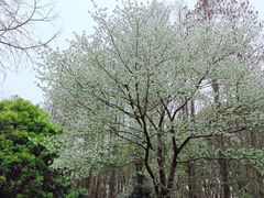 -水上明月·湖景餐厅