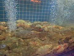 -福禧荟·海鲜自助