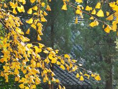 -无锡惠山寺