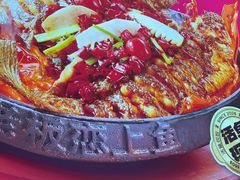 -老板恋上鱼(恒隆广场店)