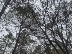 -三门江国家森林公园