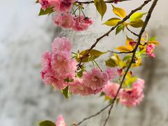 -天姥山
