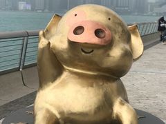 -星光大道