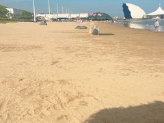 -碧海金沙