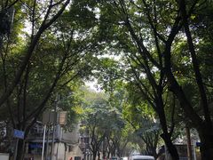 -成飞公园