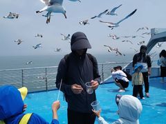 -海驴岛(荣成市)