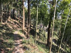 -莫干山风景区