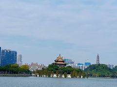 -顺峰山公园